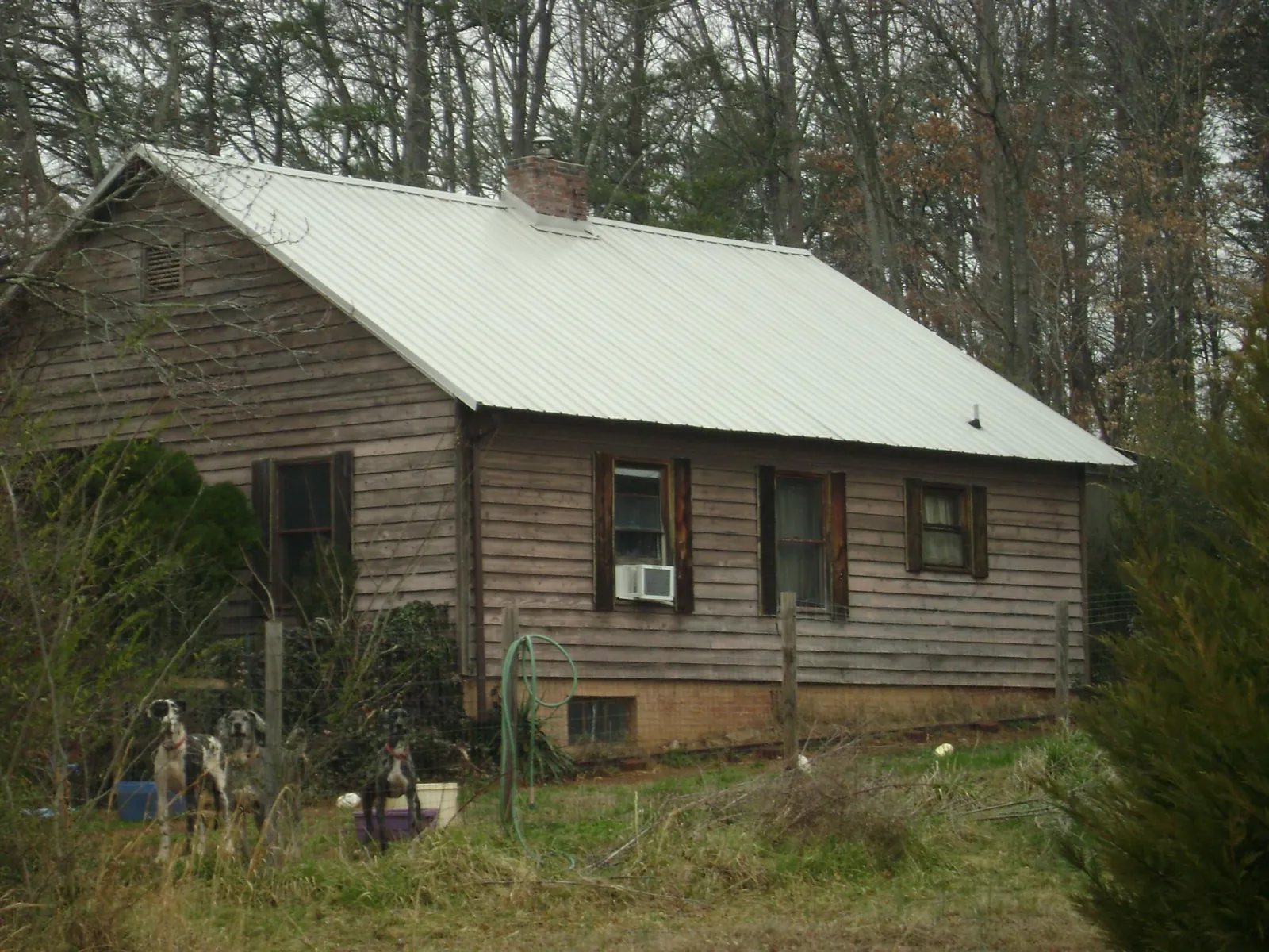 White metal roof on an old wood sided farmhouse, from a Asphalt Shingle Roof Repair job in Pratts